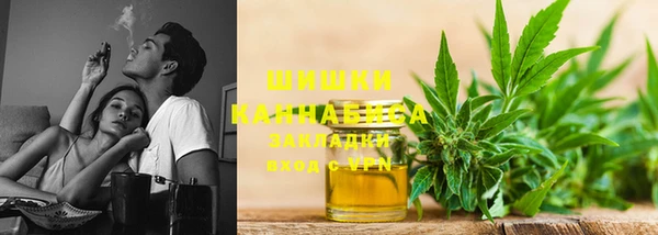 PSILOCYBIN Новодвинск