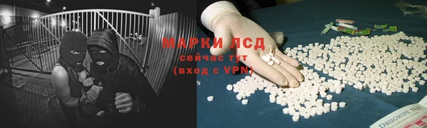 PSILOCYBIN Новодвинск