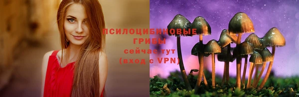 PSILOCYBIN Новодвинск