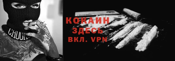 PSILOCYBIN Новодвинск