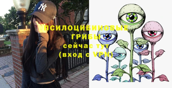 PSILOCYBIN Новодвинск