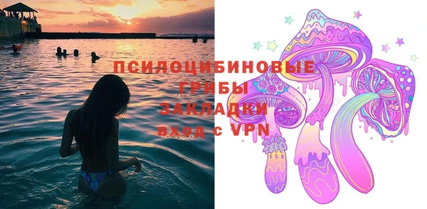PSILOCYBIN Новодвинск