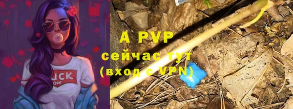 PSILOCYBIN Новодвинск